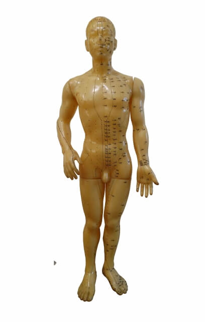 経絡人形